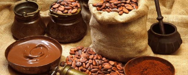 Ученые: Содержащие какао продукты защитят кожу от солнечных ожогов