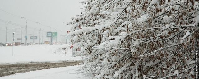 Минувшей ночью в Иркутской области выпала полумесячная норма осадков