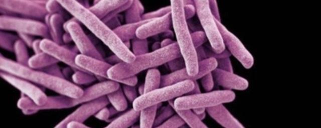 Ученые из РФ предупредили об опасной эволюции туберкулезной палочки