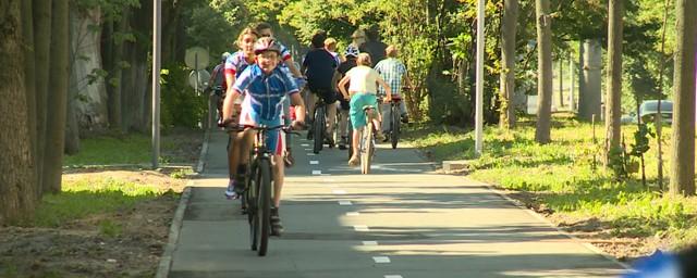 В Иванове открыли первую официальную велодорожку