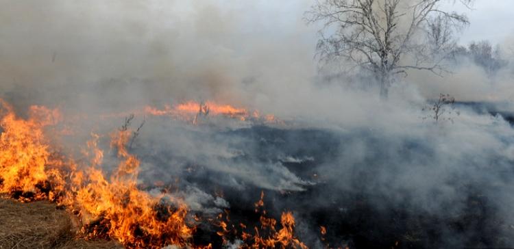 МЧС предупредило о высокой пожароопасности в Волгоградской области