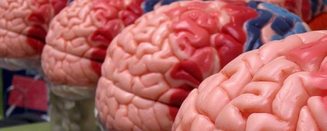 В США тестируют новый вид имплантатов для мозга