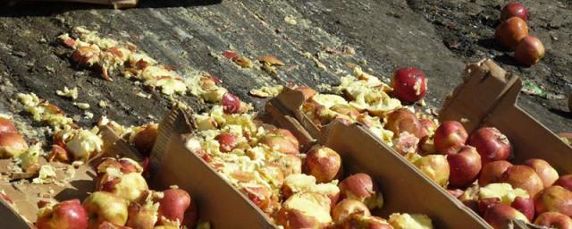 Во Владимирской области уничтожили более 200 кг польских фруктов