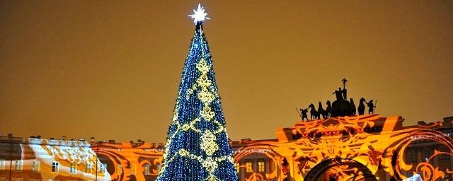 В Петербурге к Новому году установят около 60 елей
