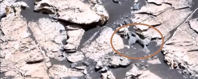 Уфологи заметили на снимках Марса окаменелые кости