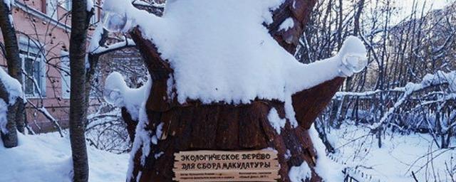 В Мурманске впервые осуществят выемку макулатуры из эко-дерева
