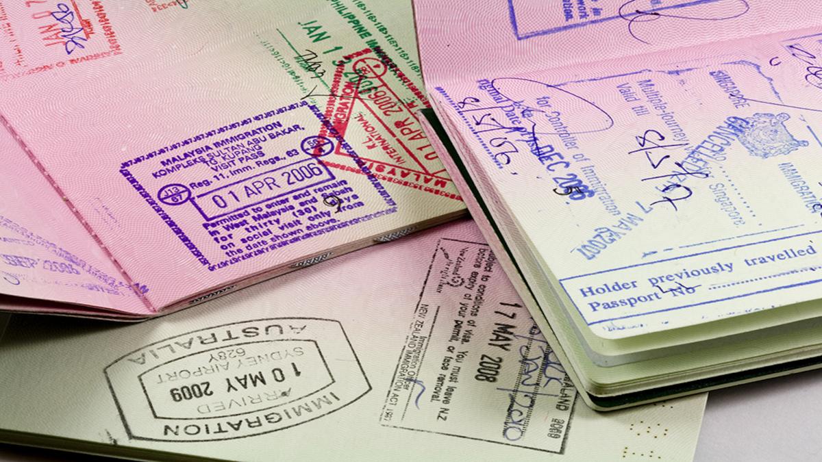 Граждане 113 стран с 2021 года смогут въезжать в РФ без бумажной визы