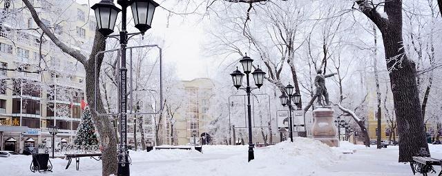 В Воронеже в выходные ожидается морозная и снежная погода
