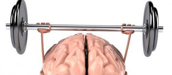 Ученые: Спорт может увеличить размер мозга