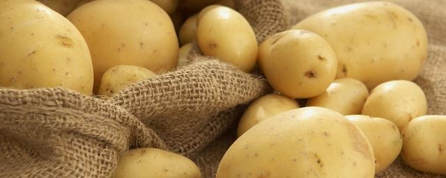 Нижегородская область обеспечила себя картофелем на 112,2%
