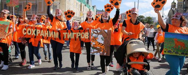 В Приморском крае в 19-й раз отметили экологический праздник День тигра