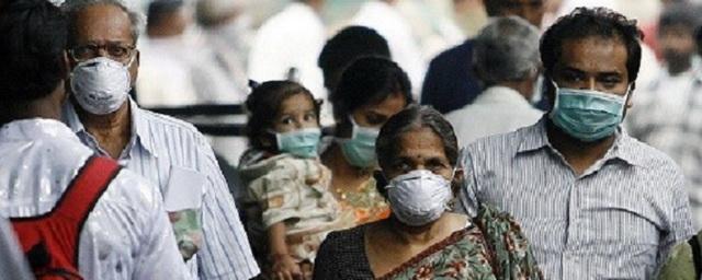 Роспотребнадзор предупредил об эпидемии свиного гриппа в Индии