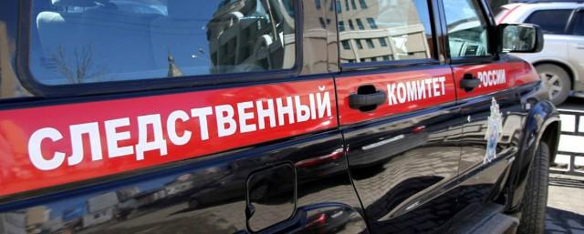 В Новосибирской области дело о гибели двух детей в яме направят в суд