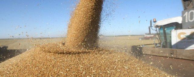 Минсельхоз РФ: Экспорт зерновых превысил 37 млн тонн