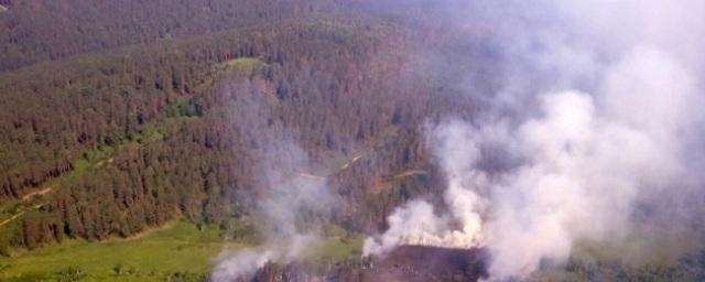 Ученые из Томска предложили тушить лесные пожары взрывами капель воды