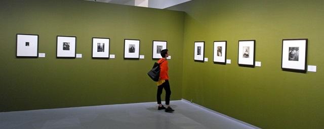 РПЦ открыла выставку работ военных фотографов