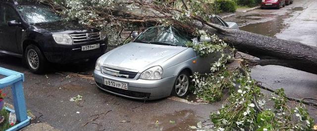 Ущерб от урагана в Ульяновской области составил 206 млн рублей