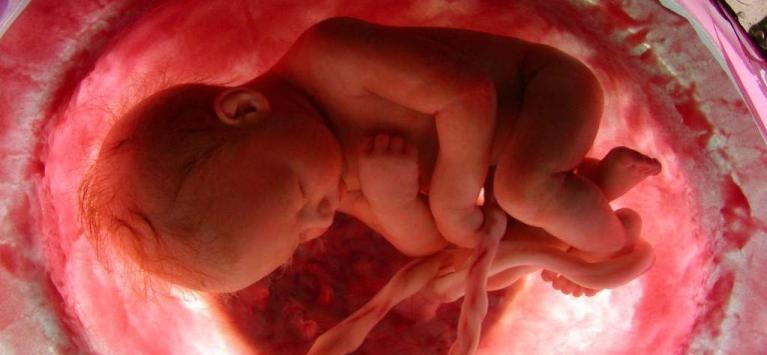 Ученые: Из эмбрионов с патологиями могут развиться здоровые дети