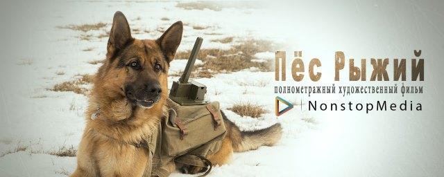 В Волгограде представят фильм «Пес Рыжий» о собаках-героях