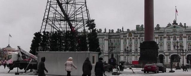 В Петербурге начался монтаж главной городской елки