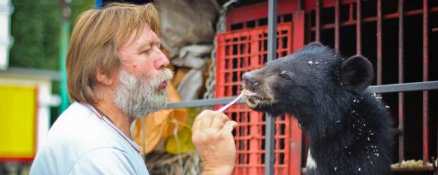Медведей ярославского зоопарка спасают от жары с помощью мороженого