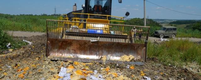 На Ставрополье выявлено и уничтожено 150 кг санкционного сыра