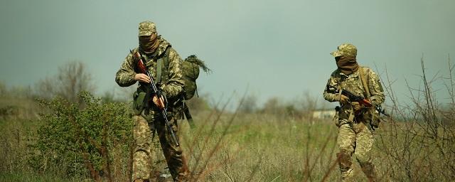 В ДНР сообщили о гибели трех диверсантов из Украины