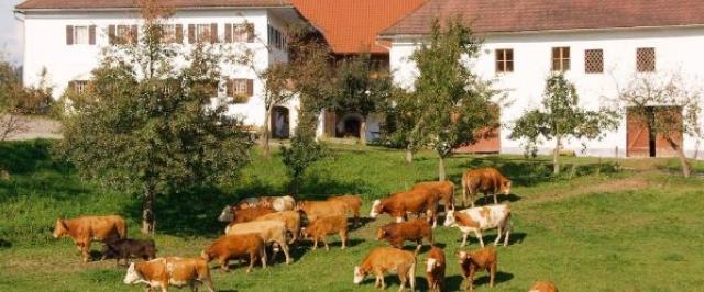 Томские аграрии отправились изучать сельхозопыт Австрии и Нидерландов