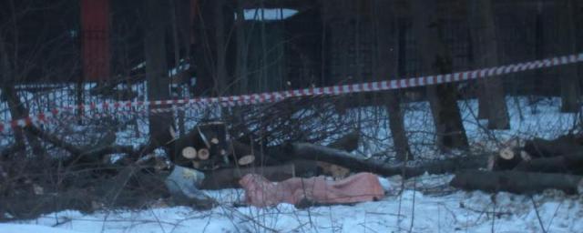 На востоке Москвы женщину убило упавшим деревом