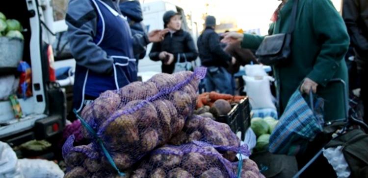 В Тюмени оштрафовали 244 уличных торговца