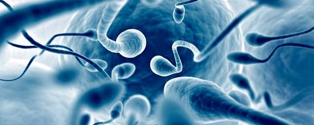 Ученые: У мужчин из развитых стран снижается количество сперматозоидов