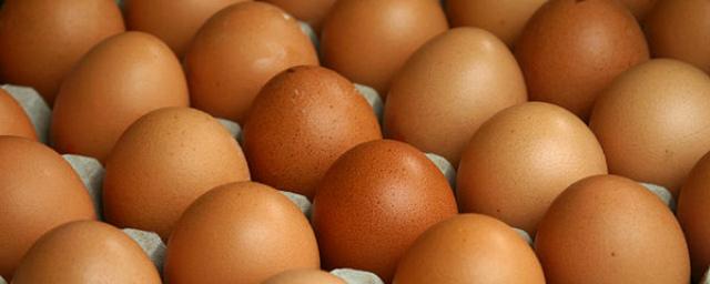 Ученые: Куриные яйца снижают вероятность инсульта