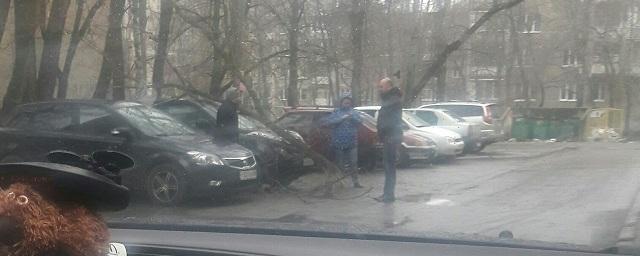 В Воронеже упавшее дерево повредило припаркованную иномарку
