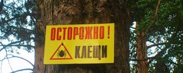 В Челябинской области 58 детей пострадали от укусов клещей