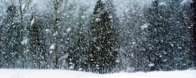 В МЧС Новгородской области предупредили о сильных снегопадах
