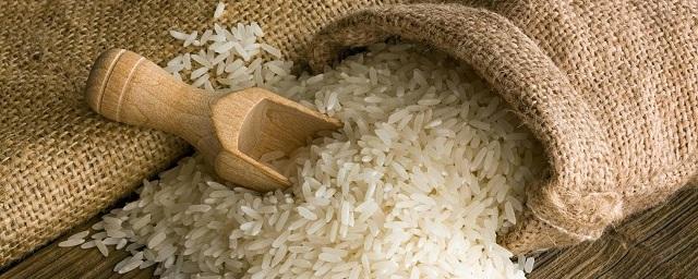 В Дагестане вырастили более 76 тысяч тонн риса