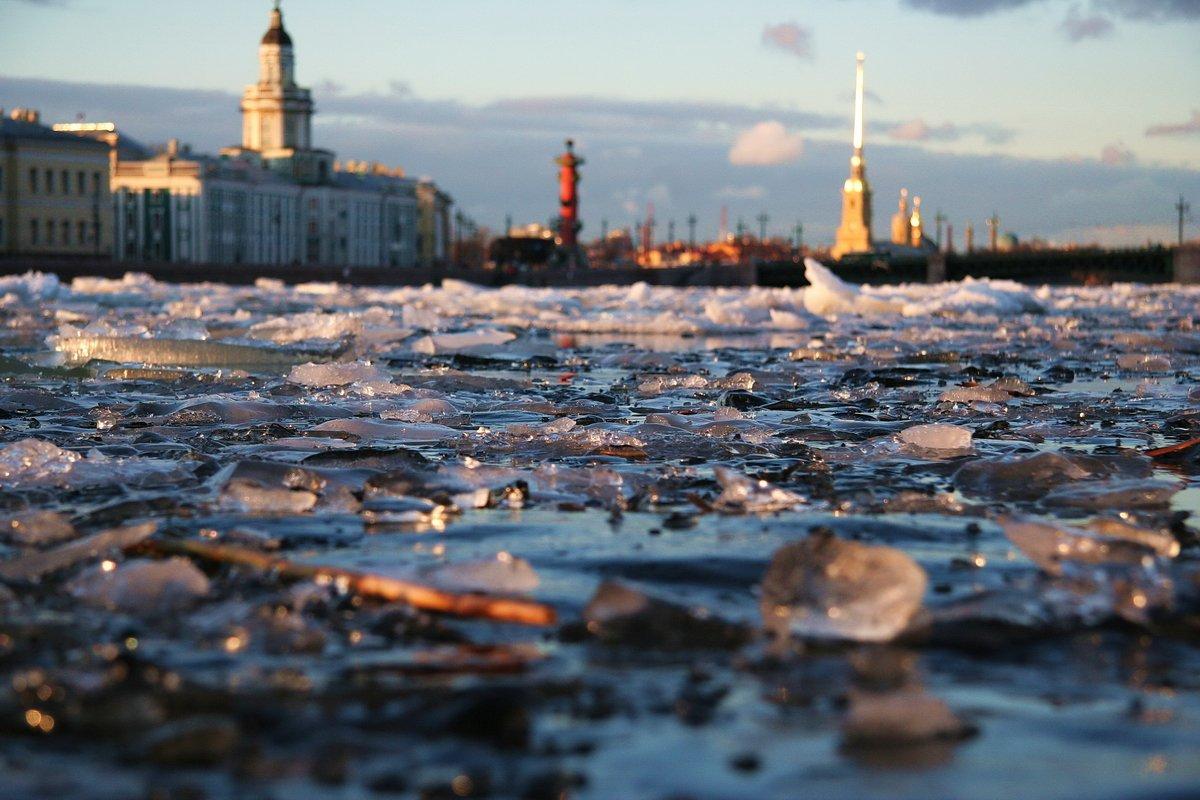Весеннее тепло пришло в Петербург впервые с начала марта