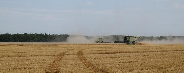 В Челябинской области уборка зерновых завершена на 94%