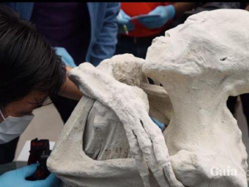 Ученые: Найденные в Перу мумии оказались инопланетными рептилиями‍