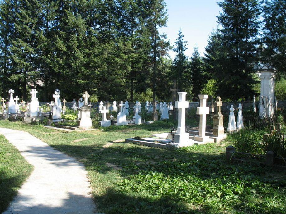Власти Севастополя благоустраивают братские кладбища к 9 Мая