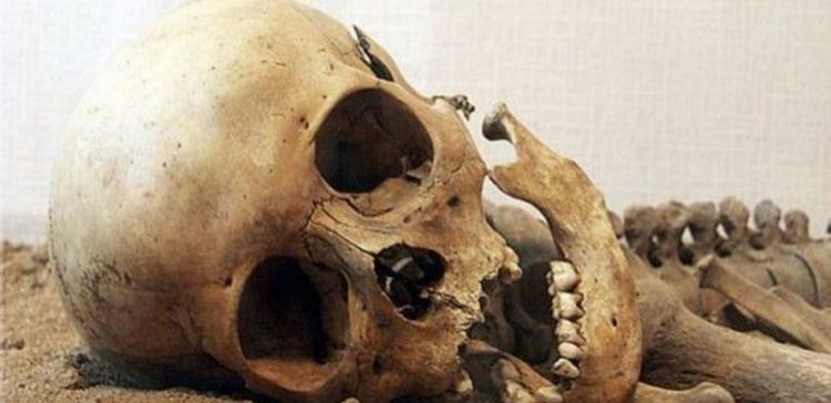 В подмосковном Пушкино обнаружили скелетированные останки человека