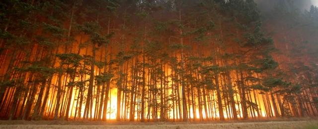 В пяти районах Башкирии установлен высокий класс пожароопасности