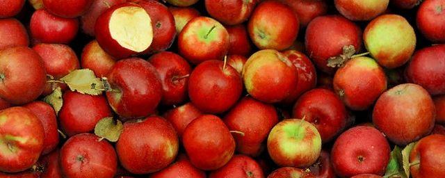В Саратовской области задержали крупную партию польских яблок