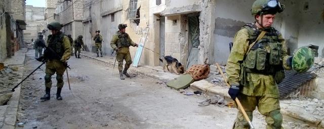 Саперы из РФ разминировали около тысячи гектаров в Восточном Алеппо