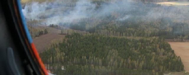 В ЯНАО за сутки потушили 31 природное возгорание