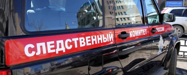 В Свердловской области в парке на 4-летнего ребенка упал стенд
