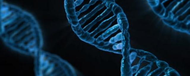 Учёные научились распутывать узлы молекул ДНК