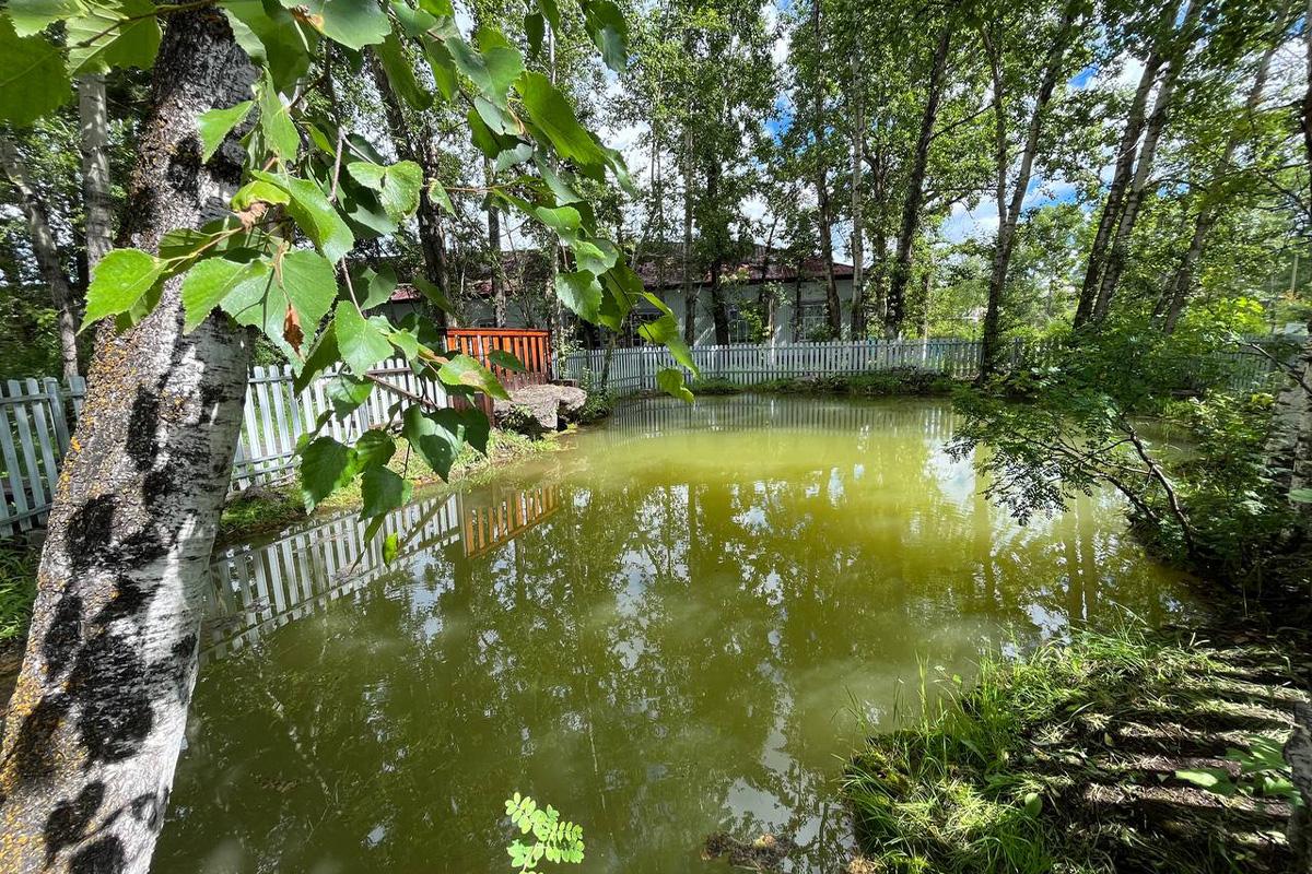 Губернатор Забайкалья Александр Осипов посетил школу и медицинский центр в Газимурском Заводе