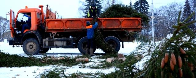 В Вологде убирают новогодние елки