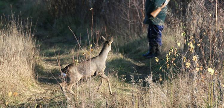 В Курганской области за два дня задержаны 11 браконьеров